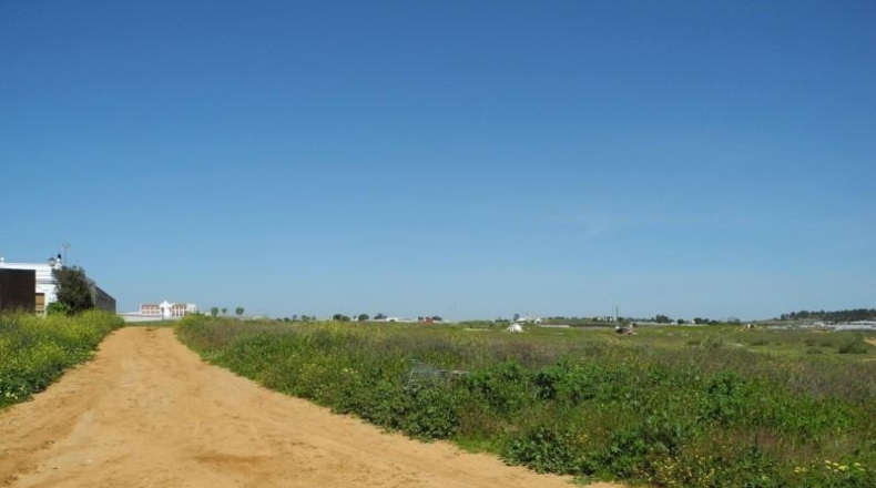 Huelva - Lepe - 3491m2