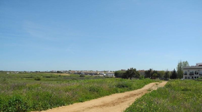 Huelva - Lepe - 3491m2