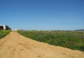 Urban land for sale on España, Lepe, ref: TR263902 photo