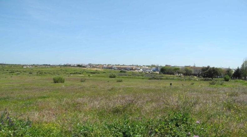 Huelva - Lepe - 3491m2