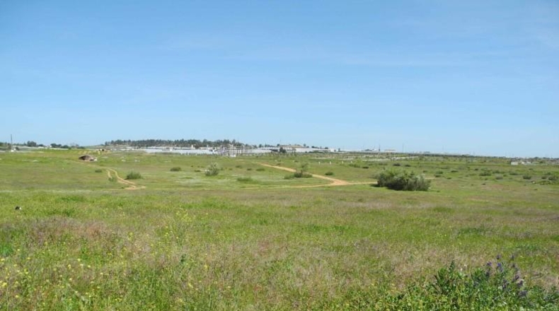 Huelva - Lepe - 3491m2