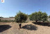 Casa de camp amb terreny en venda a la España, El Puerto de Santa María, ref.: TR325491 foto