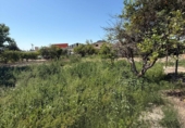 Casa de campo con terreno en venta en la España, Murcia, ref: TR248462 foto