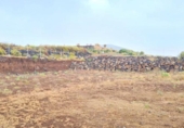 Terreny amb magatzem en venda a la España, San Miguel de Abona, ref.: TR140958 foto