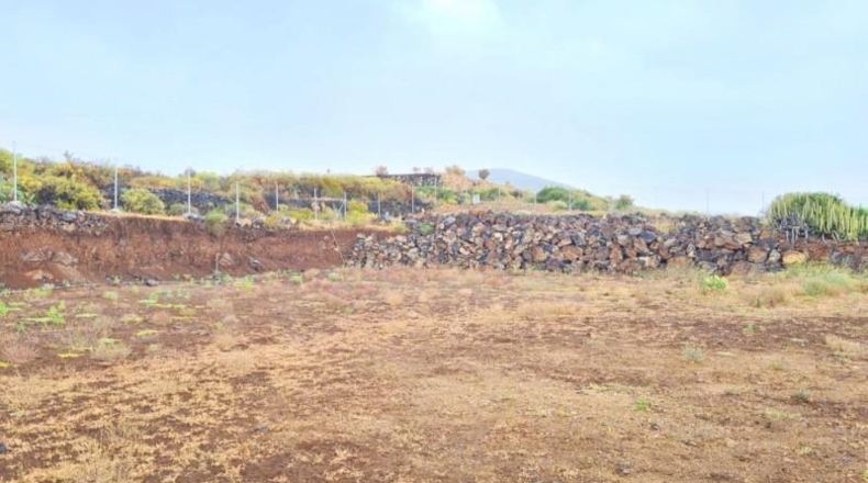 Santa Cruz de Tenerife - San Miguel de Abona - 11300m2