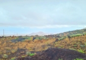 Terreny amb magatzem en venda a la España, San Miguel de Abona, ref.: TR140958 foto