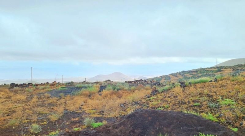 Santa Cruz de Tenerife - San Miguel de Abona - 11300m2