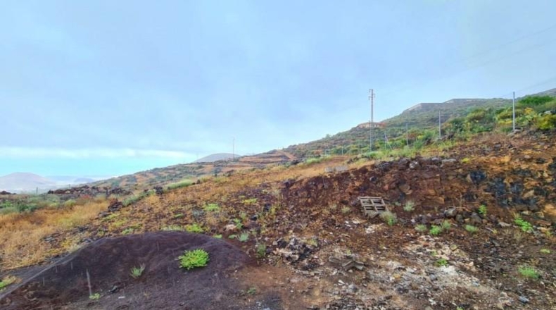 Santa Cruz de Tenerife - San Miguel de Abona - 11300m2