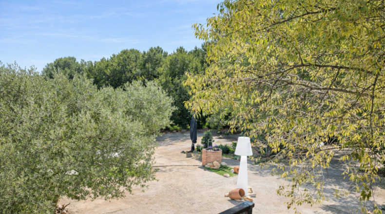 Community of Madrid - Chinchón - 2199m2