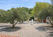Non-developable land for sale on España, Chinchón, ref: TR381378 photo