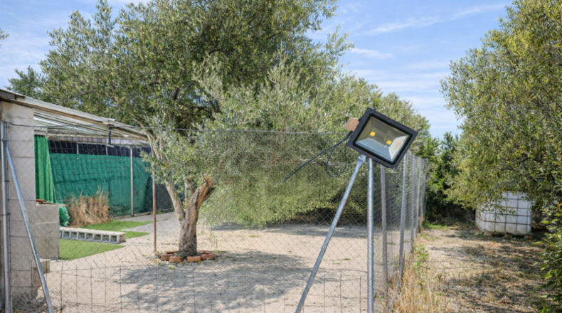 Community of Madrid - Chinchón - 2199m2