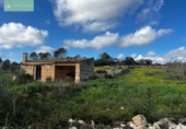 Terreny no urbanitzable en venda a la España, Llubí, ref.: TR373111 foto