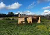 Terreny no urbanitzable en venda a la España, Llubí, ref.: TR373111 foto