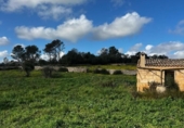 Terreny no urbanitzable en venda a la España, Llubí, ref.: TR373111 foto