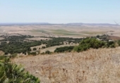 Xalet independent amb terreny en venda a la España, Vejer de la Frontera, ref.: TR135316 foto