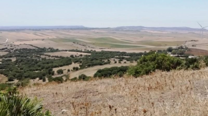 Cádiz - Vejer de la Frontera - 87000m2
