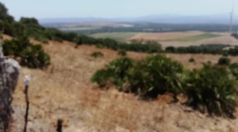 Cádiz - Vejer de la Frontera - 87000m2