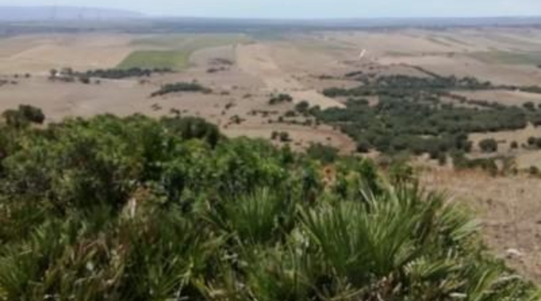 Cádiz - Vejer de la Frontera - 87000m2