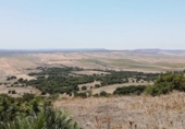 Xalet independent amb terreny en venda a la España, Vejer de la Frontera, ref.: TR135316 foto