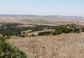 Xalet independent amb terreny en venda a la España, Vejer de la Frontera, ref.: TR135316 foto