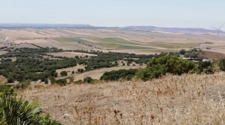 Cádiz - Vejer de la Frontera - 87000m2