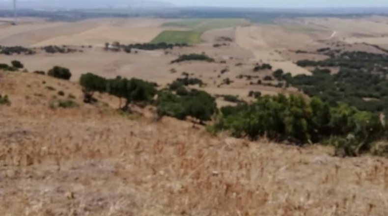 Cádiz - Vejer de la Frontera - 87000m2