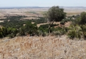 Xalet independent amb terreny en venda a la España, Vejer de la Frontera, ref.: TR135316 foto