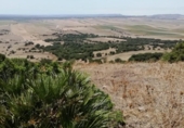 Xalet independent amb terreny en venda a la España, Vejer de la Frontera, ref.: TR135316 foto