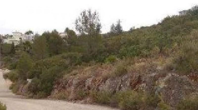 Alicante - Tormos - 4991m2