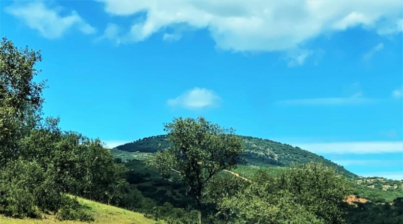 Jaén - Baños de la Encina - 294m2