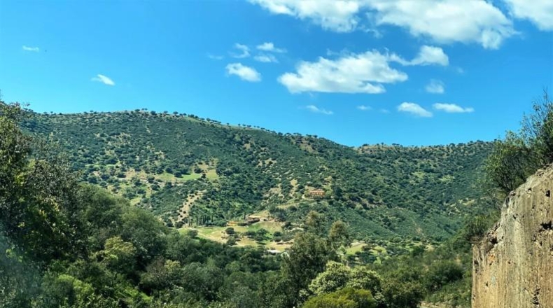 Jaén - Baños de la Encina - 294m2