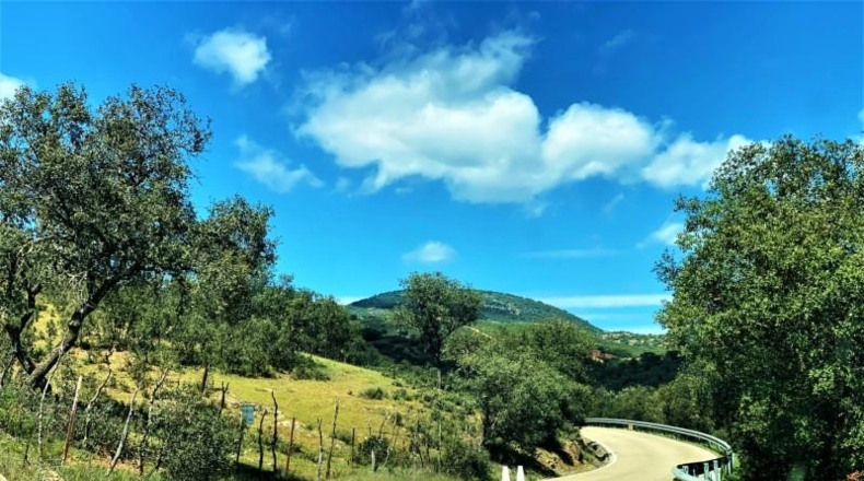 Jaén - Baños de la Encina - 294m2