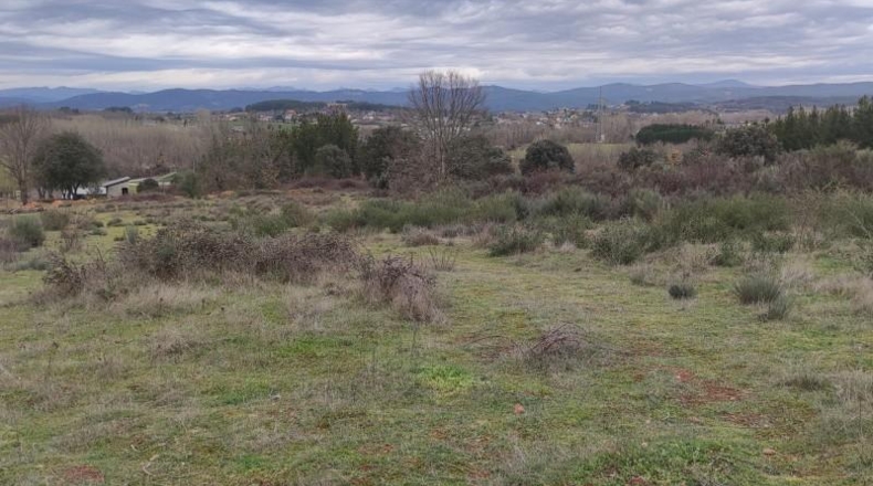 Leon - Cabañas Raras - 24000m2
