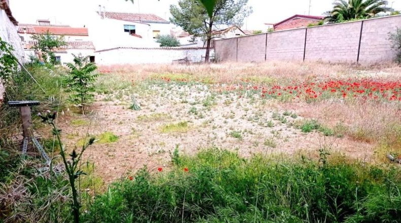 Ciudad Real - Valdepeñas - 950m2