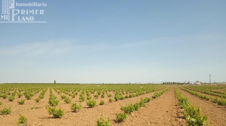 Ciudad Real - Socuéllamos - 85000m2
