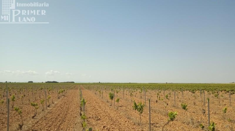 Ciudad Real - Socuéllamos - 85000m2