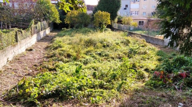 Pontevedra - Vilagarcía de Arousa - 753m2