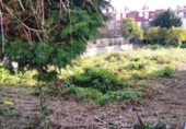 Sòl urbà en venda a la España, Vilagarcía, ref.: TR116488 foto