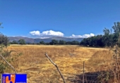 Detached villa with land for sale on España, Palazuelos de Eresma, ref: TR134478 photo