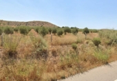 Casa de camp amb terreny en venda a la España, Lorca, ref.: TR141987 foto