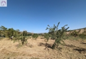Land suitable for development for sale on España, Alhama de Granada, ref: TR363993 photo