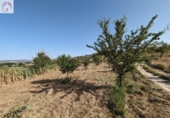Land suitable for development for sale on España, Alhama de Granada, ref: TR363993 photo