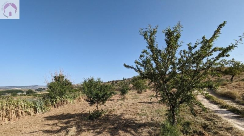 Granada - Alhama de Granada - 25834m2