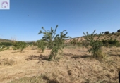 Land suitable for development for sale on España, Alhama de Granada, ref: TR363993 photo