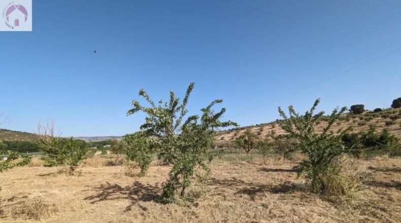 Granada - Alhama de Granada - 25834m2