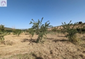 Land suitable for development for sale on España, Alhama de Granada, ref: TR363993 photo