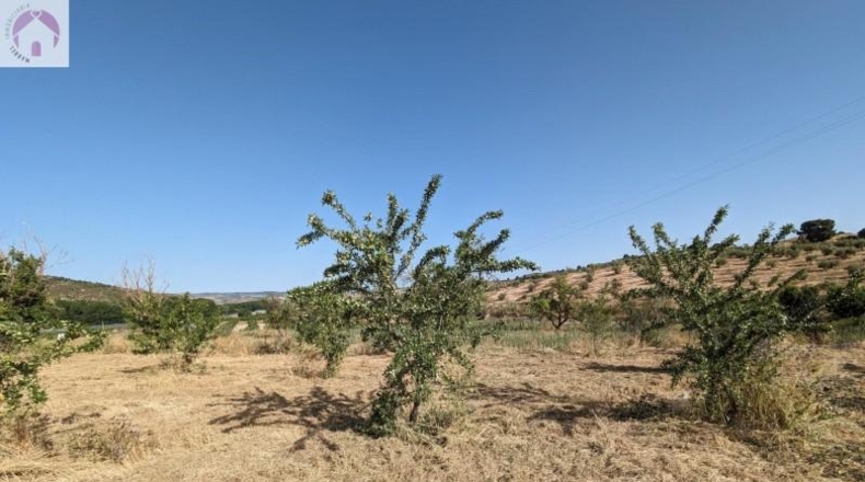 Granada - Alhama de Granada - 25834m2
