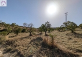 Land suitable for development for sale on España, Alhama de Granada, ref: TR363993 photo