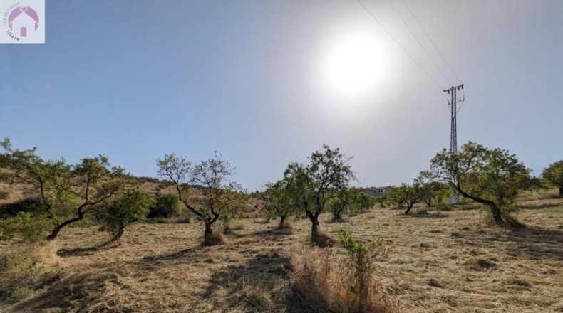 Granada - Alhama de Granada - 25834m2