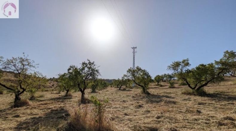 Granada - Alhama de Granada - 25834m2